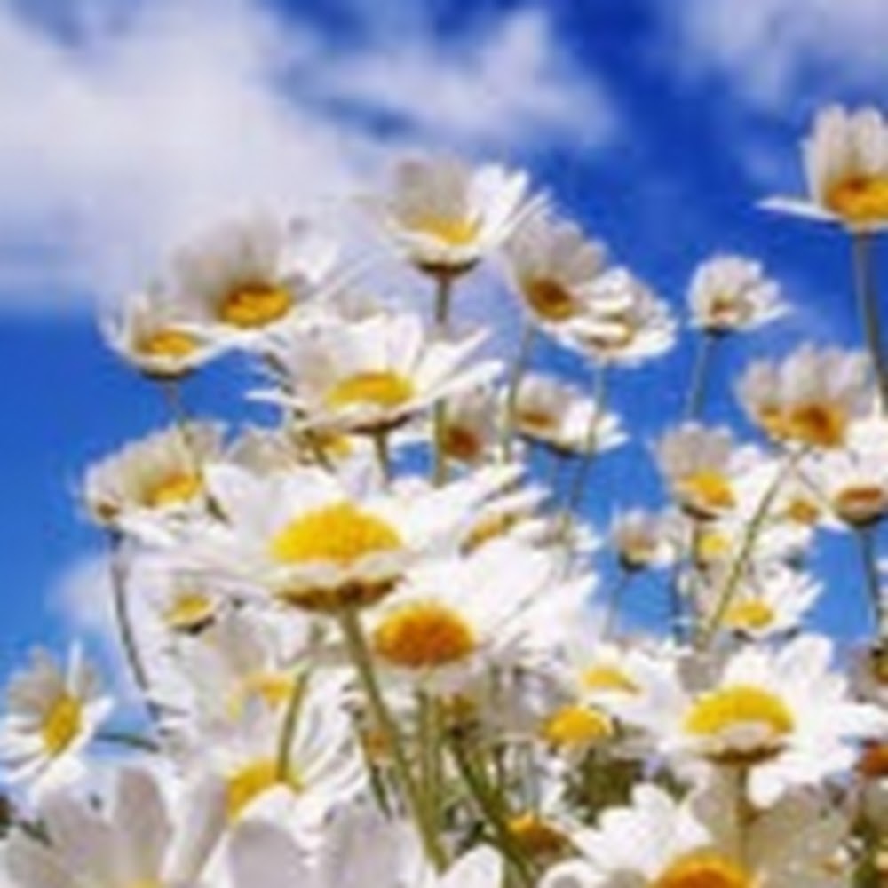 Meet your Posher, Cennedy